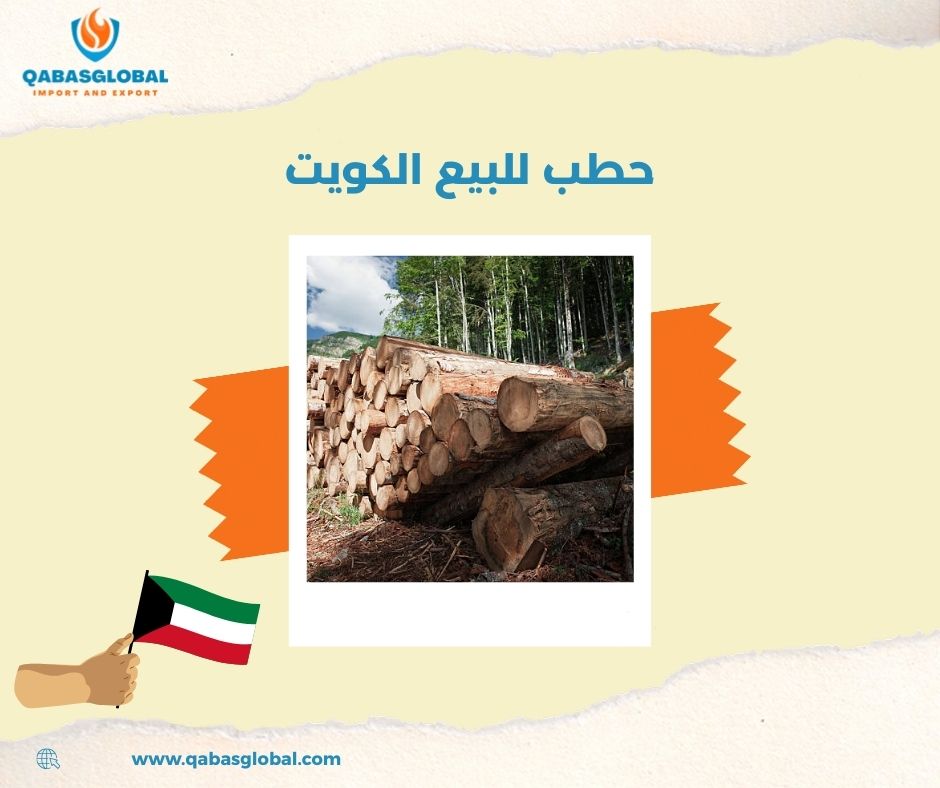 حطب زيتون الكويت حطب زيتون الكويت